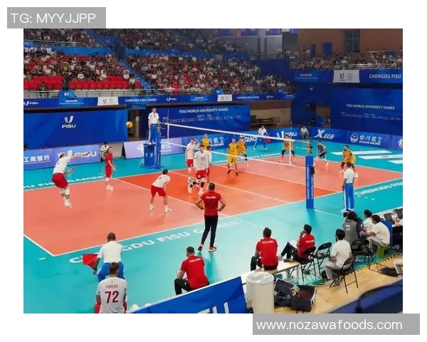 专业解读：成都排球队的控制打法