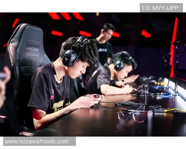 王者荣耀巨献：探秘RNG的耐力