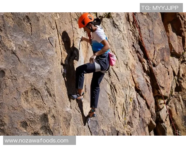 攀岩深度:解密武汉攀岩队的快攻_1 攀岩深度:解密武汉攀岩队的快攻_1