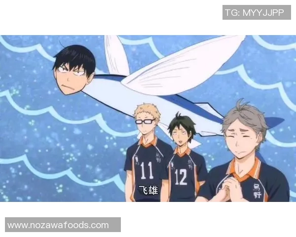 排球热点：解读南京排球队的边路渗透