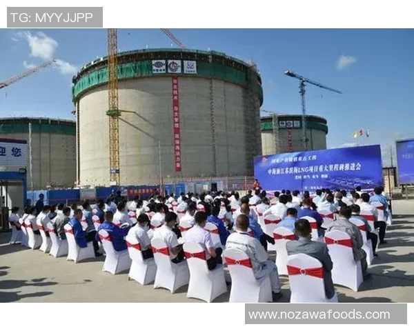 职业联赛特别报道：LNG的奋斗经历